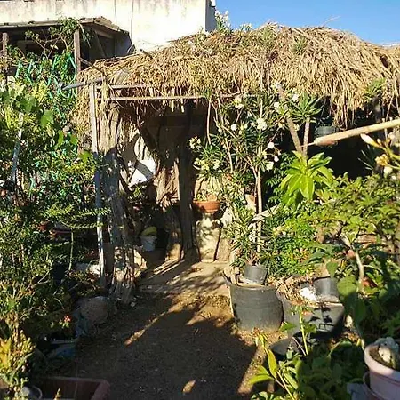 I Bonsai Talana Couette-café *