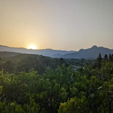 I Bonsai Talana Bed & Breakfast Ardali